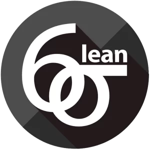 Lean Six Sigma, Business Consulting